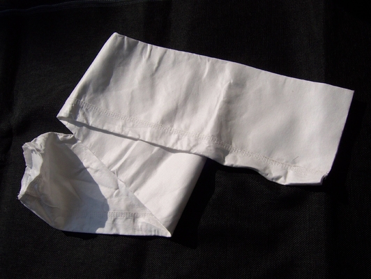 Hohe Leistungsfähigkeits-Gewebefilter sackt Filtertüte 750GSM des PTFEptfe ein